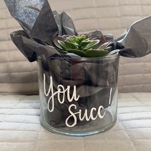 You Succ ! - glass succulent planter